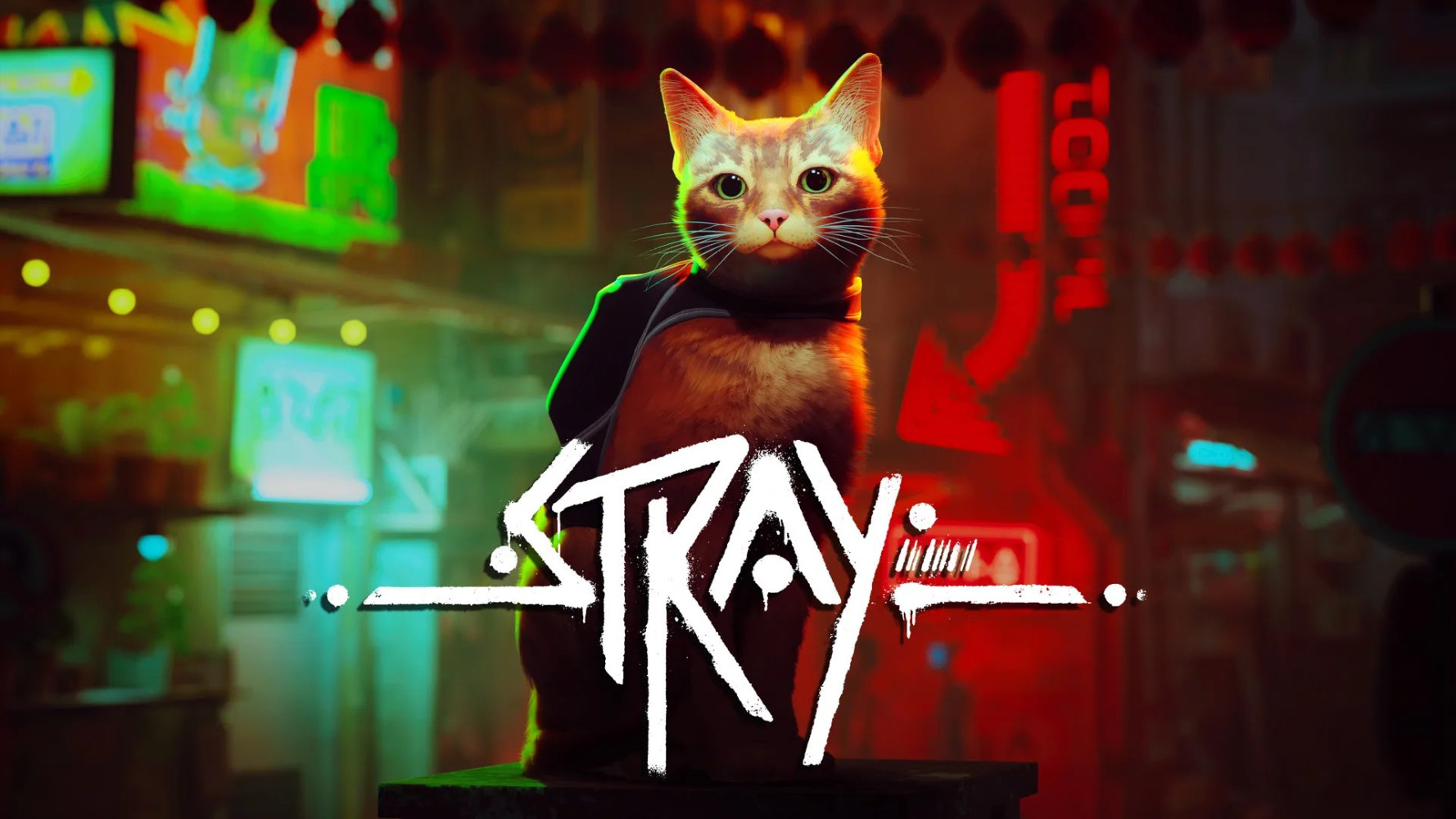 精神猫游戏 《STRAY》将登陆 Xbox 平台！