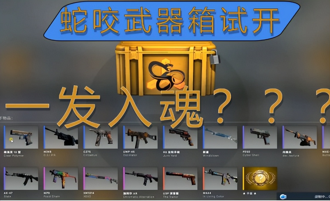 csgo箱子怎么开（csgo新手开什么箱子）插图2