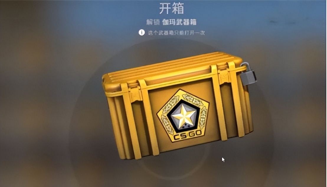 csgo箱子怎么开（csgo新手开什么箱子）插图8