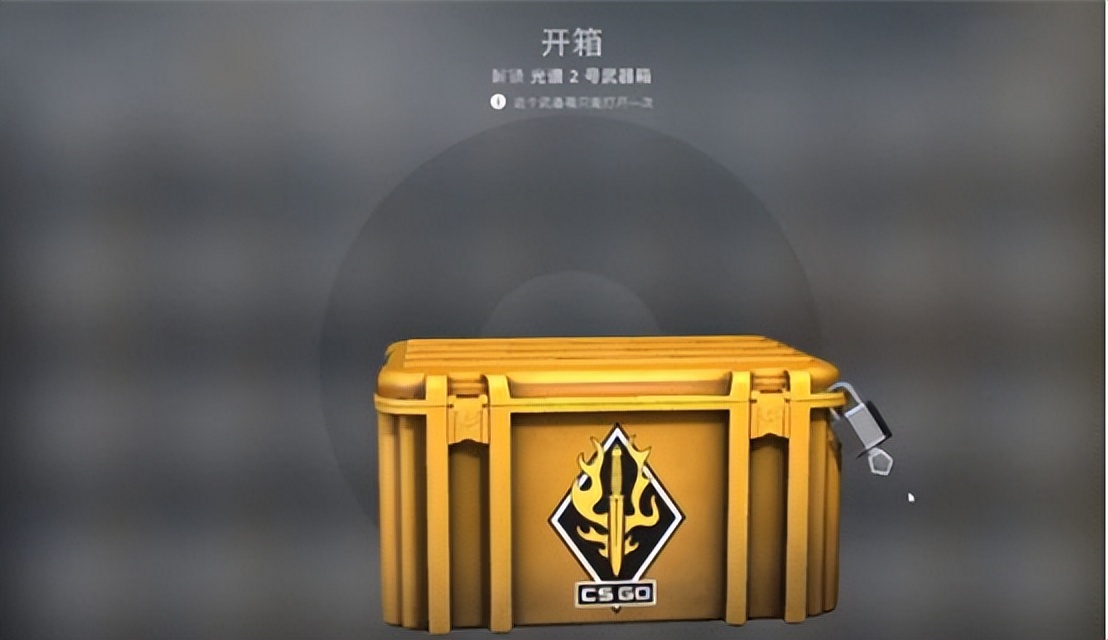 csgo箱子怎么开（csgo新手开什么箱子）插图10